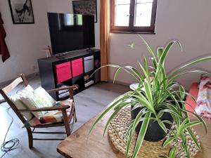 ein Wohnzimmer mit einem Tisch und einer Topfpflanze in der Unterkunft Charmante maison au coeur du Lavaux, Cully, cuisine, WiFi, Les Echalas in Cully VD