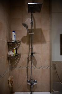 La salle de bains est pourvue d'une douche et d'une porte en verre. dans l'établissement Sunset apartment in Samarah Dead Sea resort, à Sowayma