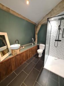 ein Bad mit einem WC, einem Waschbecken und einer Dusche in der Unterkunft Chateau Humieres Coach House in Humières