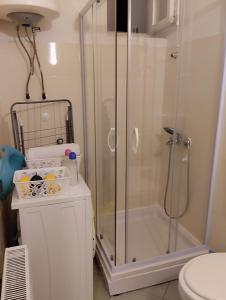un bagno con doccia e WC di Apartman Lenka a Sremska Mitrovica