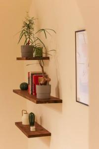 a wall with wooden shelves with plants and books at Charming Jerusalem Home in Jerusalem
