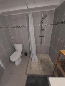 a bathroom with a toilet and a shower in it at Beau T2 Cosy tout Confort avec terrasse et jardin in Les Abymes