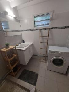 a bathroom with a sink and a washing machine at Beau T2 Cosy tout Confort avec terrasse et jardin in Les Abymes
