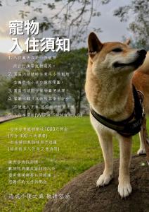 a picture of a dog standing on a rock at 藏青谷 莊園Valley Statt Manor in Liugui