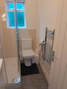 baño con aseo y ducha y ventana en Large room near Singleton Hospital ensuite R6, en Swansea