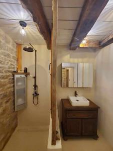 een badkamer met een wastafel en een douche bij Le Paradis de Nina 