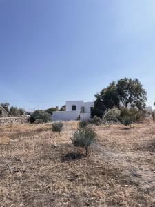 um campo com arbustos e um edifício ao fundo em The Mykonos House - Newly Renovated Villa Near Town em Míconos