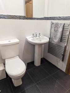 a bathroom with a white toilet and a sink at The cottage in Alston