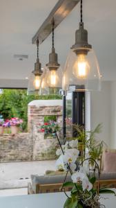 Blackberry Cottage - Newly renovated cosy cottage في Malborough: مجموعة من الأضواء المتدلية على طاولة مع الزهور