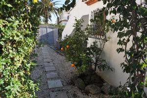 einen Orangenbaum in einem Garten neben einem Gebäude in der Unterkunft Villa Regina in Els Poblets in Els Poblets