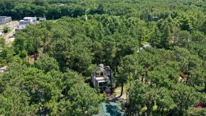 an aerial view of a house in the woods at Pine Aparthotel in Shekhvetili