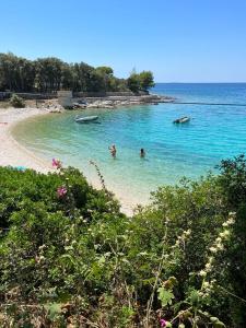 three people swimming in the water on a beach at Silba Belvedere (2) 45m from the beach in Silba