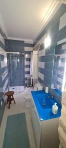 een badkamer met een blauwe wastafel en een toilet bij Solar dos Araújo Coutinho - Casa dos Cavaleiros - Turismo Habitação 
