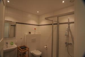 a bathroom with a shower and a toilet and a sink at B&B White Pearl in Müllerthal