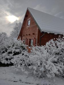 a barn covered in snow next to some bushes at Czerwona Woda in Karłów
