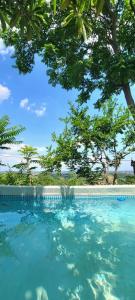 uma piscina com água azul e árvores ao fundo em B&B Ma Maison em Govone
