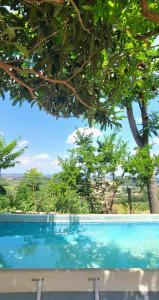 a blue swimming pool with trees in the background at B&B Ma Maison in Govone
