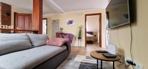 ein Wohnzimmer mit einem Sofa und einem Tisch in der Unterkunft Apartments Anna & Mateo in Rakovica