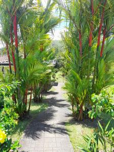 a path through a bunch of palm trees at Beautiful Lake Arenal 2 Bed Villa - Plus Communal Pool, Gym, Massage in Tronadora