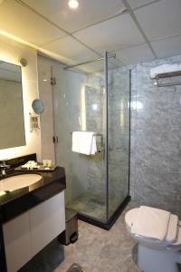 a bathroom with a shower and a toilet and a sink at Concorde Palace Hotel in Dubai