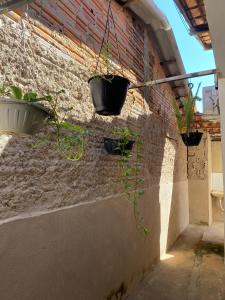 a brick wall with three potted plants on it at Recanto Sonho - PX do Centro de Palmas e Aromaterapia in Palmas