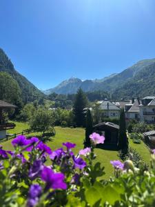 Paesaggio naturale nelle vicinanze dell'affittacamere