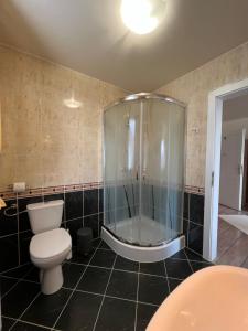 a bathroom with a shower and a toilet and a tub at Holler Vendégház in Bük