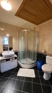 een badkamer met een douche, een wastafel en een toilet bij Holler Vendégház in Bük