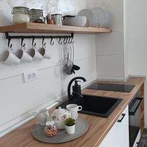 Kuchyňa alebo kuchynka v ubytovaní Apartman Zlatni breg Divčibare