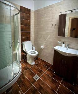 un bagno con wc, lavandino e doccia di Paschali apartment with 2 bedrooms in Ammoudia a Párga Altre 34 foto
