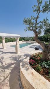 un árbol y un banco junto a una piscina en Holiday Home Cosimo en Locorotondo