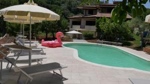 a pool with a pink flamingo and chairs and an umbrella at Casa Vacanze Korello in Gasponi +7 photos