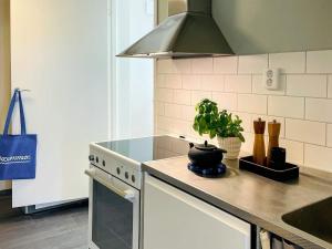 a kitchen with a stove and a potted plant on the counter at Holiday home TORSLANDA IV in Torslanda