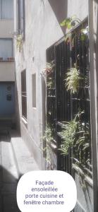 een gebouw met een hek met planten erop bij Appart' Cosy Beaucairois in Beaucaire