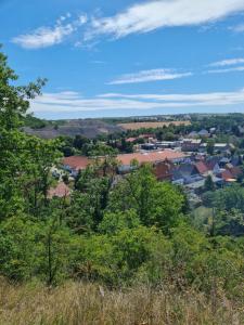 Blick auf eine Stadt von einem Hügel mit Bäumen in der Unterkunft Ferienwohnung mit Ausblick in Wimmelburg in Wimmelburg