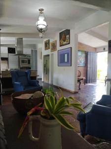 een woonkamer met blauwe meubels en een plant in het midden bij Posadas Le Petit Inn in Caracas