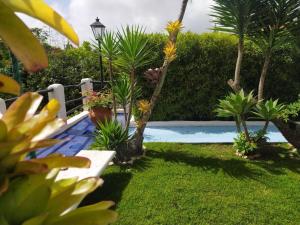 a garden with palm trees and a swimming pool at Posadas Le Petit Inn in Caracas