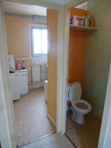 A bathroom at T3 lumineux 50 m² 5min de CHU FAC STADE TRAM