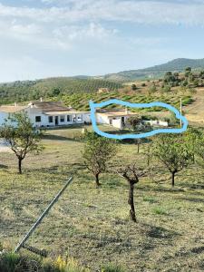 Ein blauer Drachen fliegt über ein Feld mit Bäumen in der Unterkunft Casita Estherose in Vélez Rubio