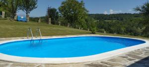 une grande piscine d'eau bleue dans un champ dans l'établissement Бор и Шишарка, 