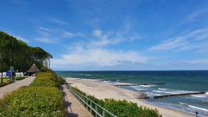 einen Strand mit einem Zaun am Meer in der Unterkunft Ferienwohnung am Gespensterwald in Ostseebad Nienhagen