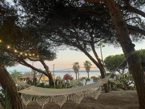 una hamaca colgando entre dos árboles en una playa en Apartamentos Luxury Mazagón, en Palos de la Frontera