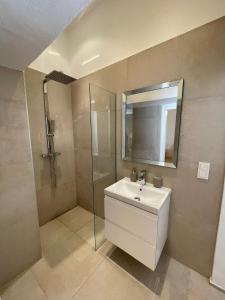 a bathroom with a sink and a shower with a mirror at Apartment Zum Dom in Graz