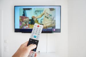 a person holding a remote control in front of a tv at Chill & Relax Apartments Purbach in Purbach am Neusiedlersee