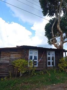 una pequeña casa de madera con ventanas blancas y un árbol en Hermosa Cabaña Campestre, en Pereira