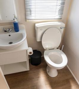 a bathroom with a white toilet and a sink at Caravan Skegness 8 Berth in Skegness