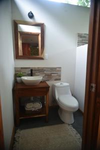 a bathroom with a toilet and a sink and a mirror at Alegria River Hideaway and Retreats in Cuajiniquil
