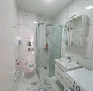 um banheiro com chuveiro, vaso sanitário e pia em Sirius apartaments em Rafailovici