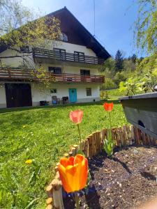 tres flores en el césped frente a un edificio en The RiverSide Chill Hostel, en Zgornje Gorje