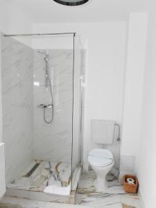 a bathroom with a shower and a toilet at Casa cu Scări in Lunca Mare